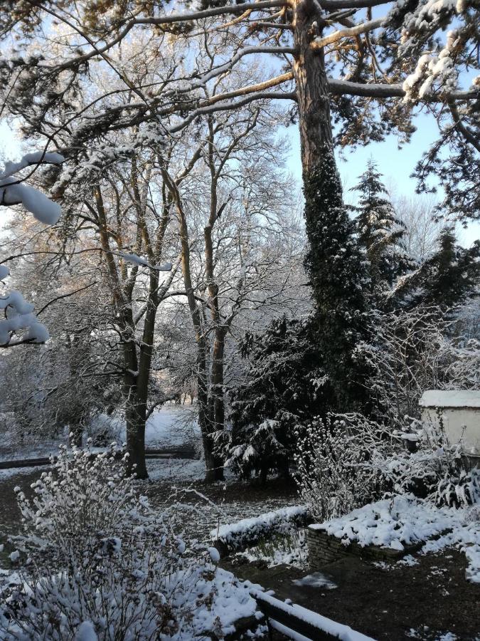 Zenbreak Sous Les Toits Bed & Breakfast Saint-Jean-le-Blanc ภายนอก รูปภาพ
